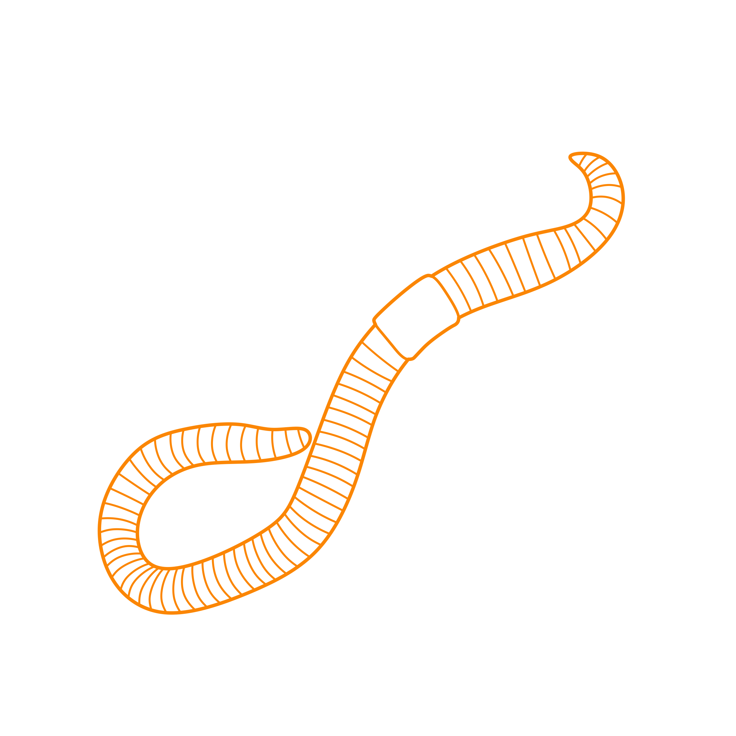 Animals Worms Common Earthworm Vinyl Cutting Svg File Free Vectors